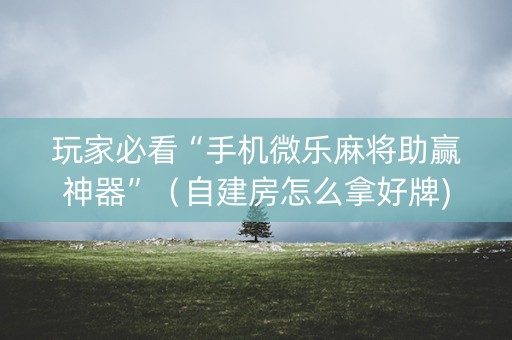 玩家必看“手机微乐麻将助赢神器”（自建房怎么拿好牌)