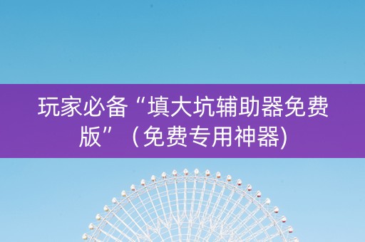 玩家必备“填大坑辅助器免费版”（免费专用神器)