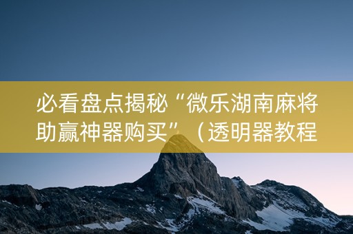 必看盘点揭秘“微乐湖南麻将助赢神器购买”（透明器教程)