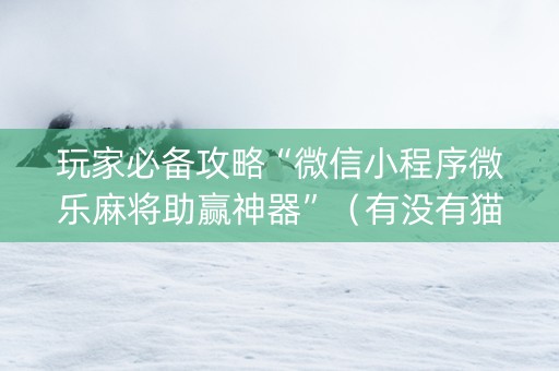 玩家必备攻略“微信小程序微乐麻将助赢神器”（有没有猫腻)