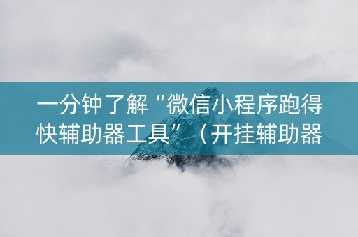 一分钟了解“微信小程序跑得快辅助器工具”（开挂辅助器插件)