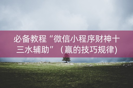 必备教程“微信小程序财神十三水辅助”（赢的技巧规律)