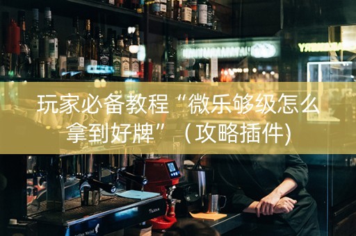 玩家必备教程“微乐够级怎么拿到好牌”（攻略插件)