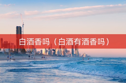 白酒香吗（白酒有酒香吗）