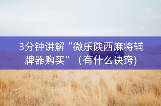 3分钟讲解“微乐陕西麻将辅牌器购买”（有什么诀窍)