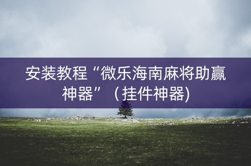 安装教程“微乐海南麻将助赢神器”（挂件神器)
