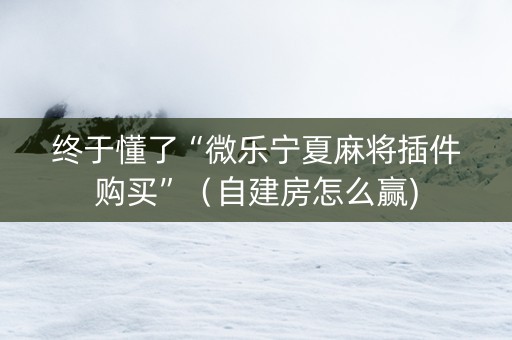 终于懂了“微乐宁夏麻将插件购买”（自建房怎么赢)