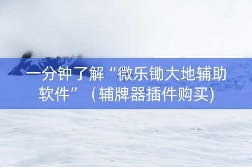 一分钟了解“微乐锄大地辅助软件”（辅牌器插件购买)