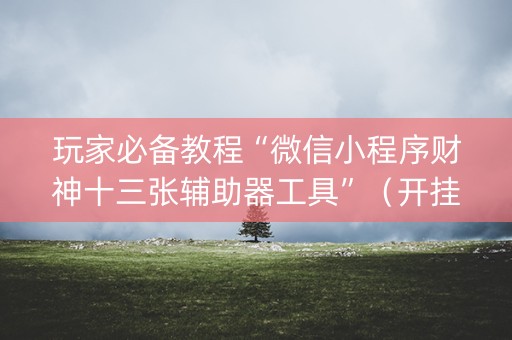 玩家必备教程“微信小程序财神十三张辅助器工具”（开挂辅助脚本)