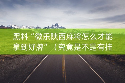 黑料“微乐陕西麻将怎么才能拿到好牌”（究竟是不是有挂)