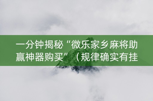 一分钟揭秘“微乐家乡麻将助赢神器购买”（规律确实有挂)