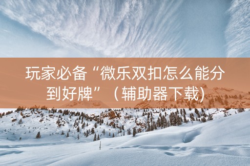 玩家必备“微乐双扣怎么能分到好牌”（辅助器下载)