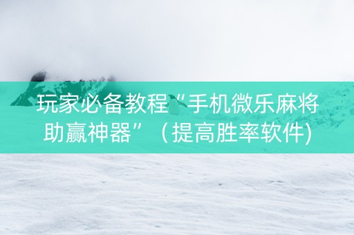 玩家必备教程“手机微乐麻将助赢神器”（提高胜率软件)
