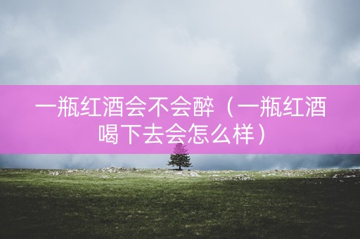 一瓶红酒会不会醉（一瓶红酒喝下去会怎么样）