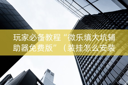 玩家必备教程“微乐填大坑辅助器免费版”（装挂怎么安装)
