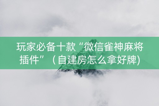 玩家必备十款“微信雀神麻将插件”（自建房怎么拿好牌)