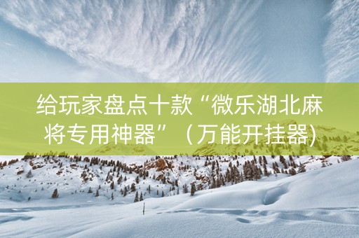 给玩家盘点十款“微乐湖北麻将专用神器”（万能开挂器)