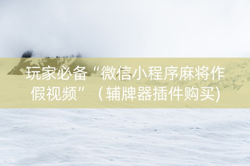 玩家必备“微信小程序麻将作假视频”（辅牌器插件购买)