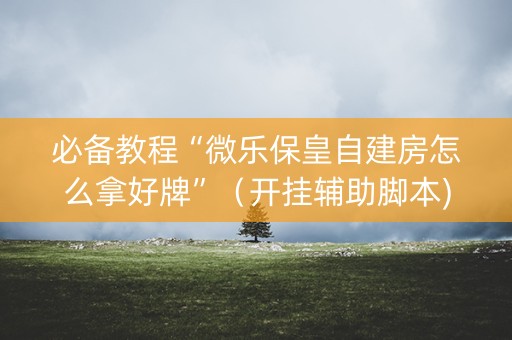 必备教程“微乐保皇自建房怎么拿好牌”（开挂辅助脚本)