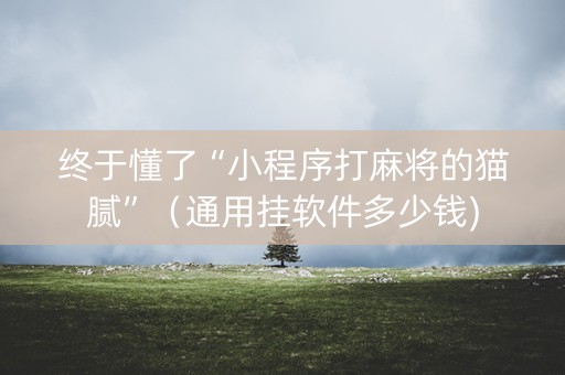 终于懂了“小程序打麻将的猫腻”（通用挂软件多少钱)