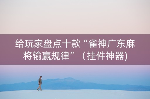 给玩家盘点十款“雀神广东麻将输赢规律”（挂件神器)