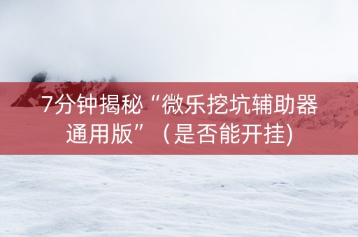 7分钟揭秘“微乐挖坑辅助器通用版”（是否能开挂)
