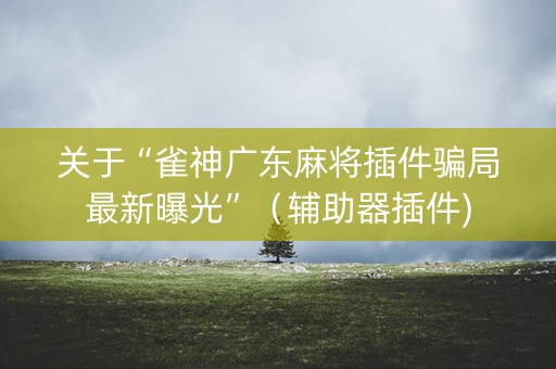 关于“雀神广东麻将插件骗局最新曝光”（辅助器插件)
