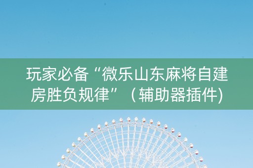 玩家必备“微乐山东麻将自建房胜负规律”（辅助器插件)