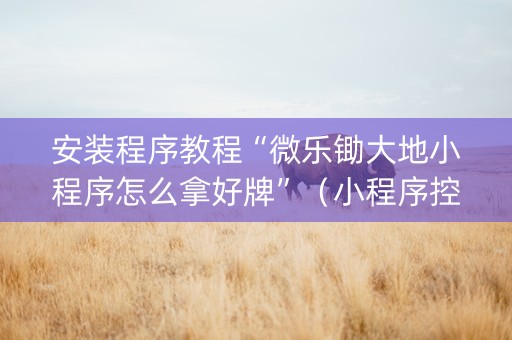 安装程序教程“微乐锄大地小程序怎么拿好牌”（小程序控牌器)