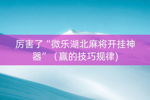 厉害了“微乐湖北麻将开挂神器”（赢的技巧规律)