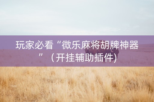 玩家必看“微乐麻将胡牌神器”（开挂辅助插件)