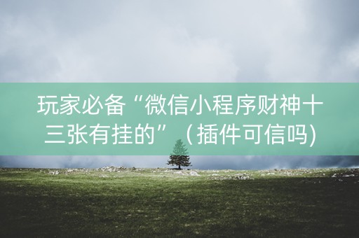 玩家必备“微信小程序财神十三张有挂的”（插件可信吗)