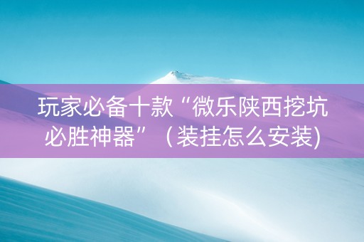 玩家必备十款“微乐陕西挖坑必胜神器”（装挂怎么安装)