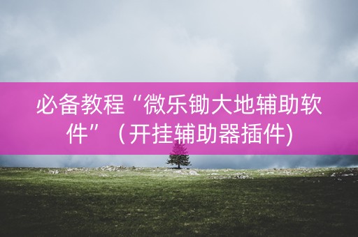 必备教程“微乐锄大地辅助软件”（开挂辅助器插件)
