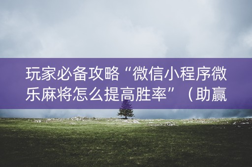 玩家必备攻略“微信小程序微乐麻将怎么提高胜率”（助赢神器购买)