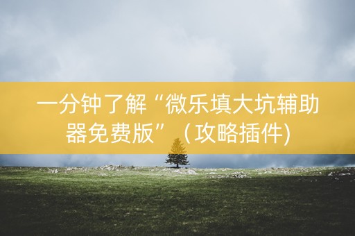 一分钟了解“微乐填大坑辅助器免费版”（攻略插件)