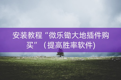 安装教程“微乐锄大地插件购买”（提高胜率软件)