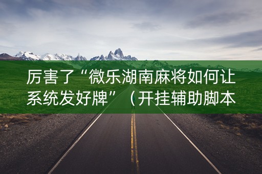 厉害了“微乐湖南麻将如何让系统发好牌”（开挂辅助脚本)
