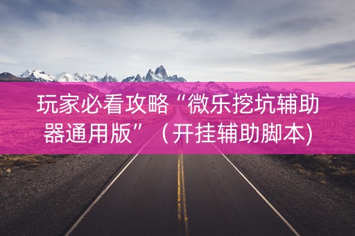 玩家必看攻略“微乐挖坑辅助器通用版”（开挂辅助脚本)