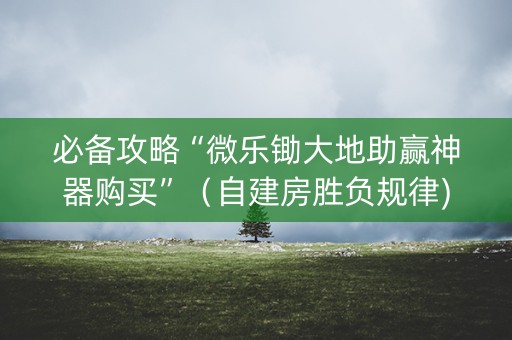 必备攻略“微乐锄大地助赢神器购买”（自建房胜负规律)