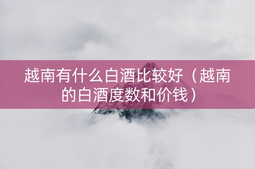 越南有什么白酒比较好（越南的白酒度数和价钱）