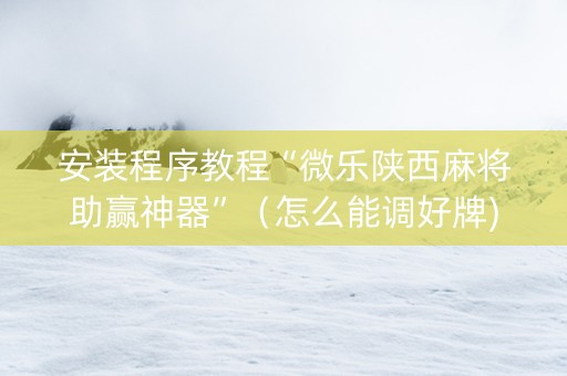 安装程序教程“微乐陕西麻将助赢神器”（怎么能调好牌)
