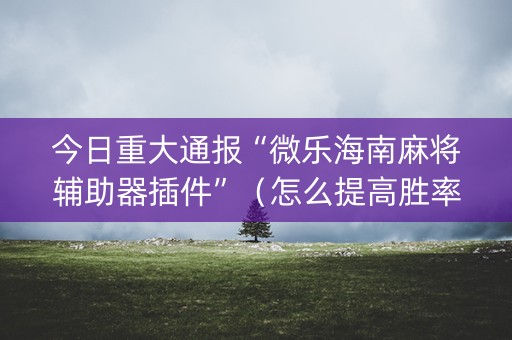 今日重大通报“微乐海南麻将辅助器插件”（怎么提高胜率)