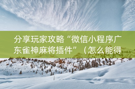 分享玩家攻略“微信小程序广东雀神麻将插件”（怎么能得到好牌)