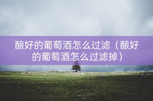 酿好的葡萄酒怎么过滤（酿好的葡萄酒怎么过滤掉）