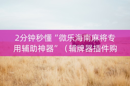 2分钟秒懂“微乐海南麻将专用辅助神器”（辅牌器插件购买)