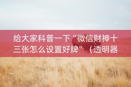 给大家科普一下“微信财神十三张怎么设置好牌”（透明器教程)