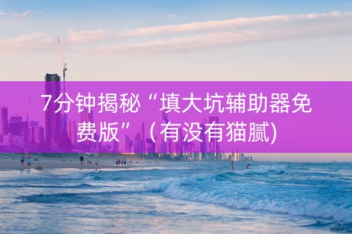 7分钟揭秘“填大坑辅助器免费版”（有没有猫腻)
