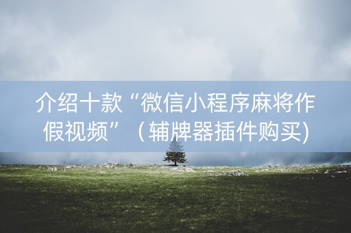 介绍十款“微信小程序麻将作假视频”（辅牌器插件购买)
