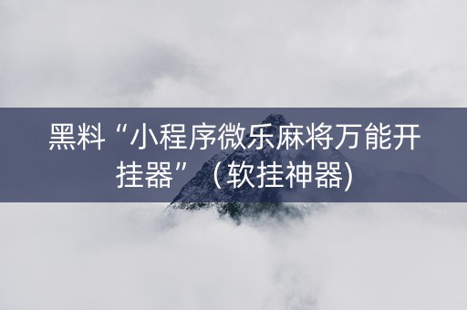黑料“小程序微乐麻将万能开挂器”（软挂神器)